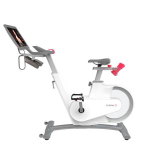Купить Велотренажер Yesoul BV1-W PLUS в Краснознаменске 